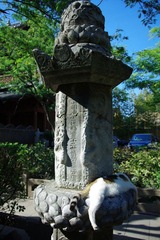 IMGP6427_