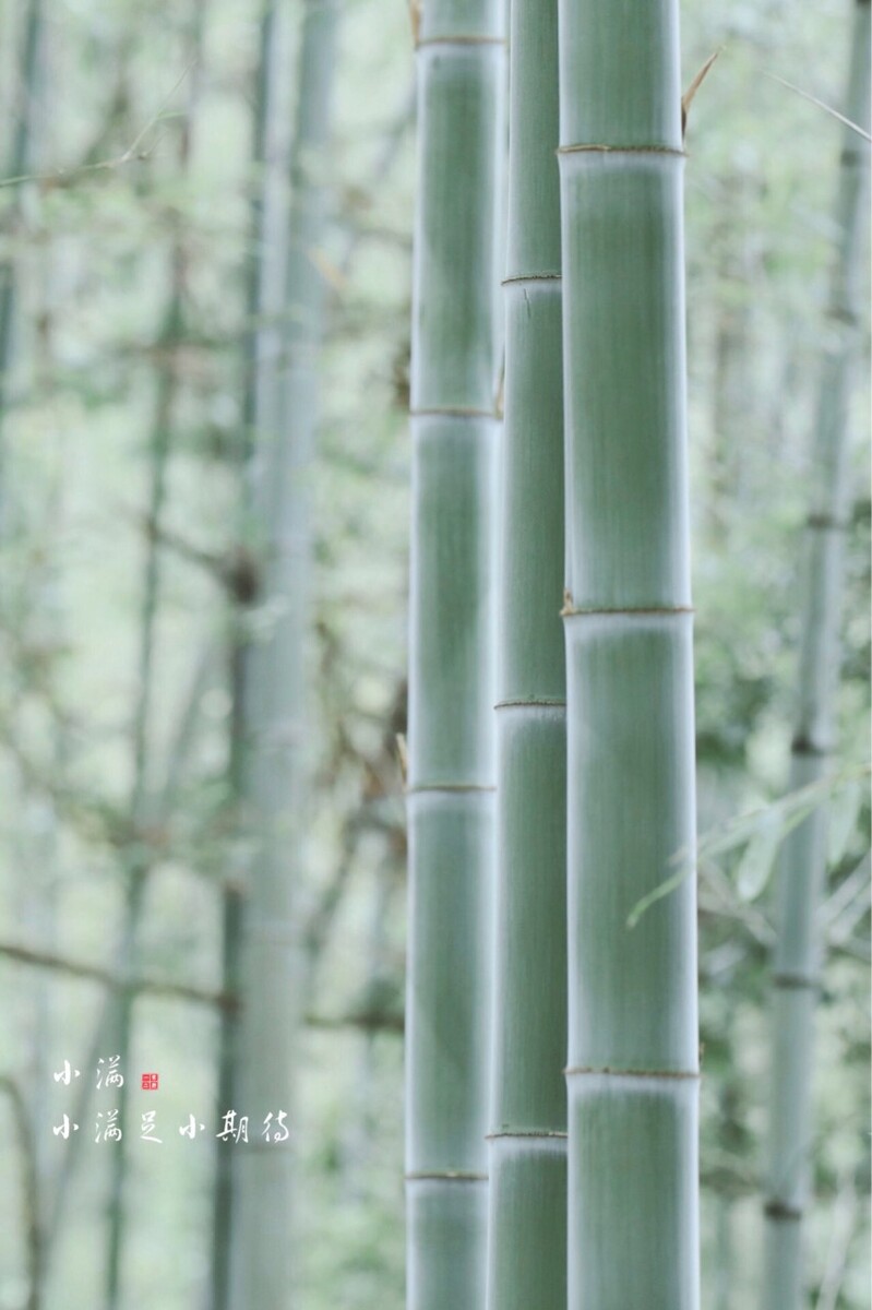 小满足，小期待……