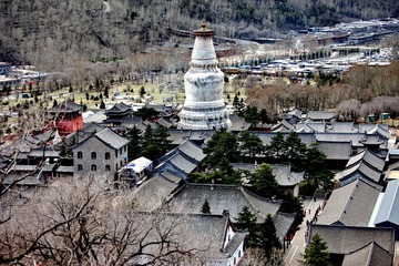 IMG_8676_调整大小