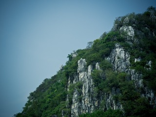 PA071194