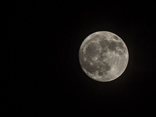 1421409
