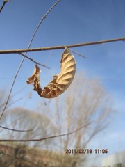 IMG_0784.JPG