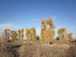 IMG_0620.JPG