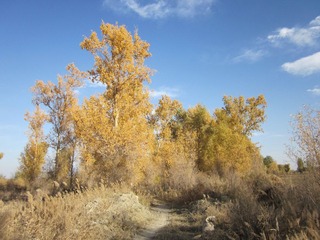 IMG_0622.JPG