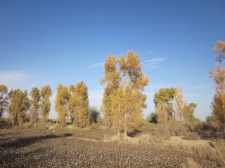 IMG_0623.JPG