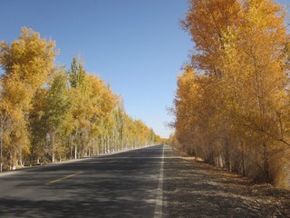 IMG_0595.JPG