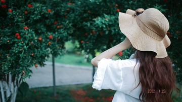 220C2BCF-4E8C-4512-8662-6C06EF4D265E/L0/001