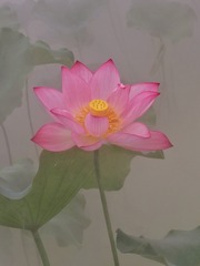 AEA5C732-B535-460A-A192-32733B592CE9/L0/001