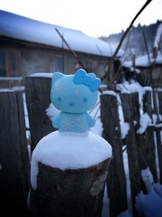 Snow Kitty 9.jpg
