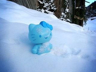 Snow Kitty 4.jpg