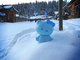 Snow Kitty 5.jpg