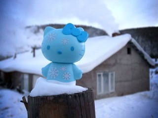 Snow Kitty 7.jpg