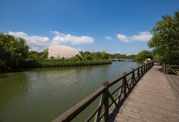 596750