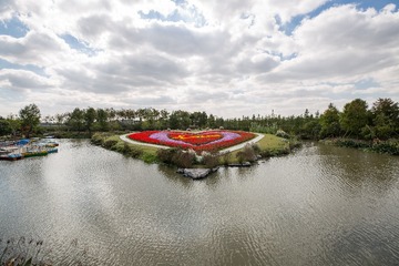 733719