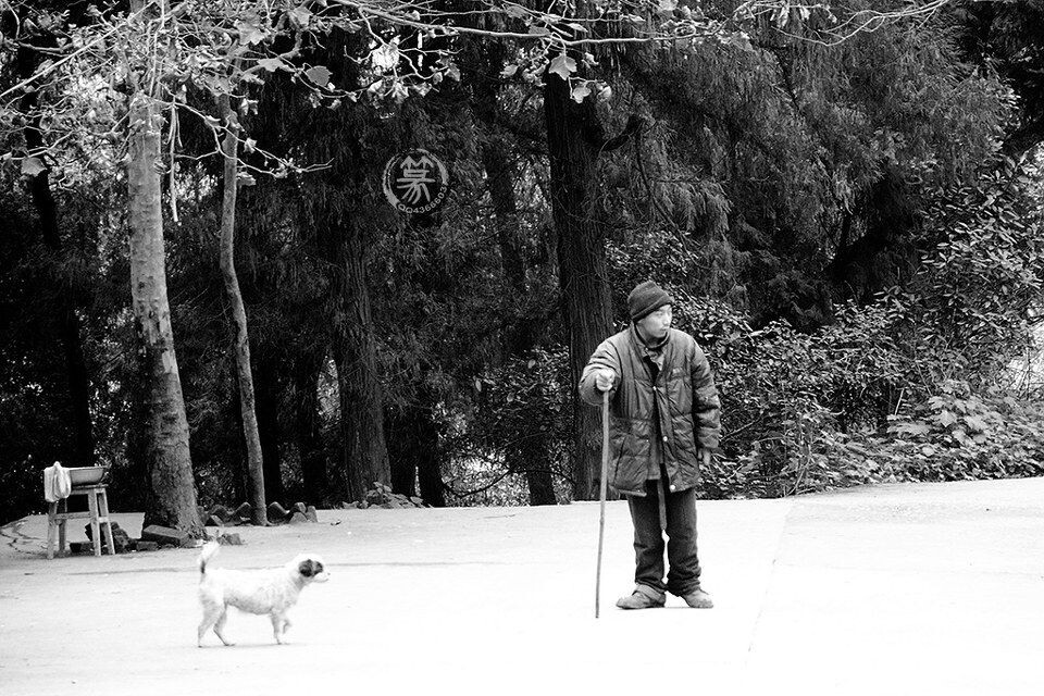 DSC_9040p<br />
