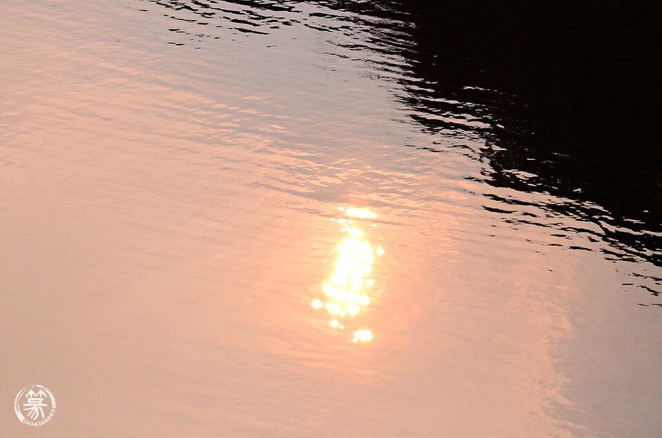 DSC_8917p<br />
