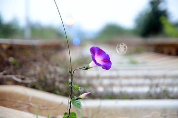 DSC_8038p.jpg