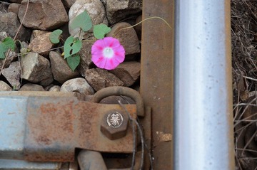 DSC_8044p.jpg