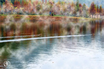 DSC_8781p.jpg