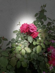 9B4FB705-6300-4EEF-A663-A4ADF9E15910/L0/001