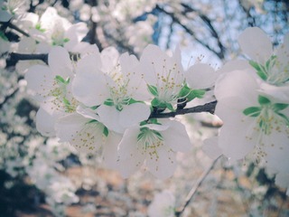 0C33481C-06E3-4D04-93D2-0D14E1F0F291/L0/001