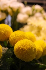 8CF8D39C-2599-400F-8817-856B62868948/L0/001