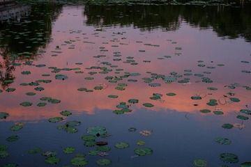 DSCF0290.JPG