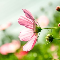 20130803-IMG_0424.jpg