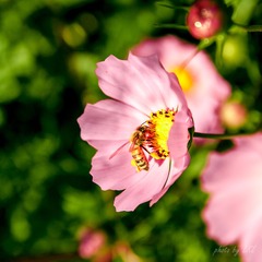 20130803-IMG_0430.jpg