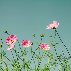 20130803-IMG_0431.jpg