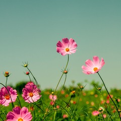 20130803-IMG_0433.jpg