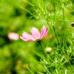20130803-IMG_0436.jpg