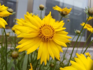1304505