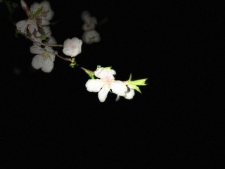 5B5C09F4-E73A-437E-A5C6-48E25595512F/L0/001