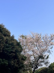 CA02D66E-3176-4E36-8D4F-6B3C1FDFB77E/L0/001