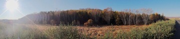DSC00359.JPG