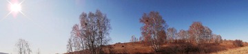 DSC00381.JPG