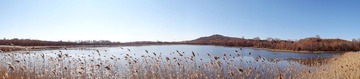 DSC00399.JPG