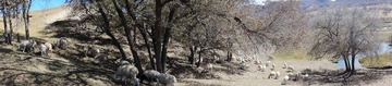 DSC00416.JPG