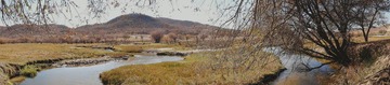 DSC00422.JPG