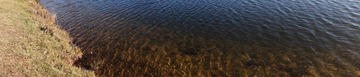 DSC00441.JPG