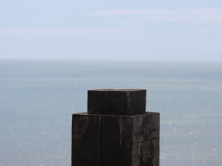 1009161