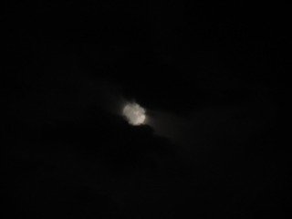 1118828
