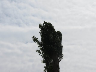 1009120