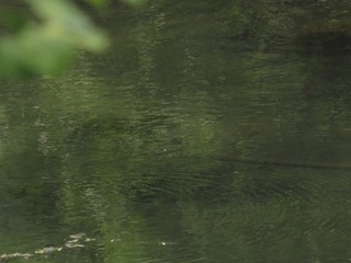 1088902