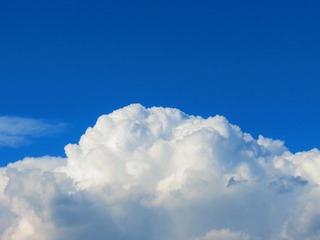 1122037
