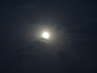 1118806