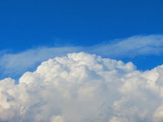 1122039