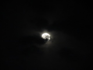 1118826