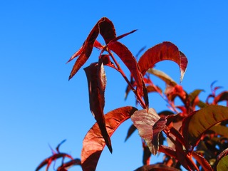 1122031